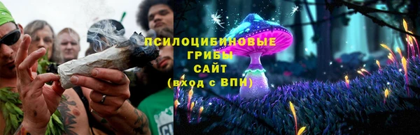 кокс Бородино